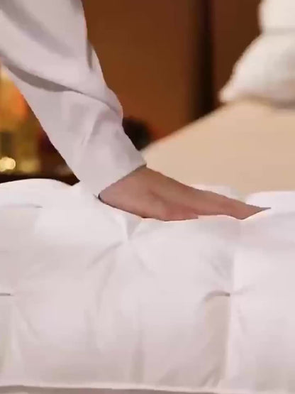 Neck & Spine Five Star Hotel Support Pillow – Relaxing, Breathable Bedding for Home (1pc/2pcs)