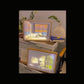 Glowing LED Light Painting: Sunlit Window Artwork Gift